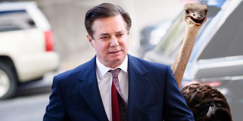 manafort-02-1533136126